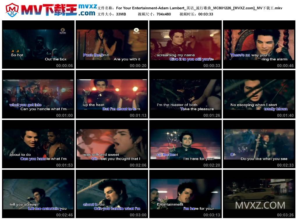 For Your Entertainment-Adam Lambert_英语_流行歌曲_MC801226